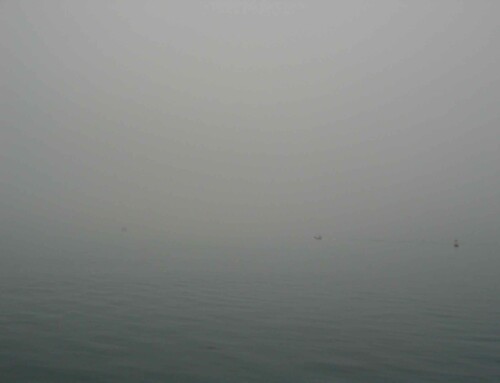 2014 Wordt zeilend afgesloten in dikke mist